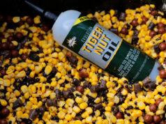 Рецепт підгодовування на швидкій коропової рибалці