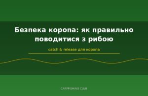 Безпека коропа: як правильно поводитися з рибою