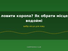 Де ловити коропа? Як обрати місце на водоймі