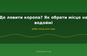 Де ловити коропа? Як обрати місце на водоймі