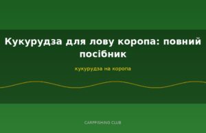 Кукурудза для лову коропа: повний посібник
