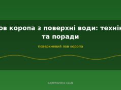 Лов коропа з поверхні води: техніка та поради