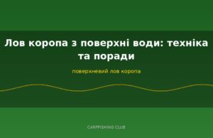 Лов коропа з поверхні води: техніка та поради