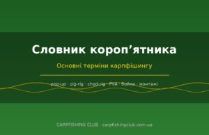Словник коропʼятника: основні терміни карпфішингу