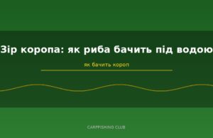 Зір коропа: як риба бачить під водою